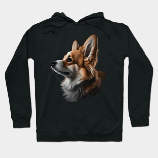 Corgi Dog Hoodie